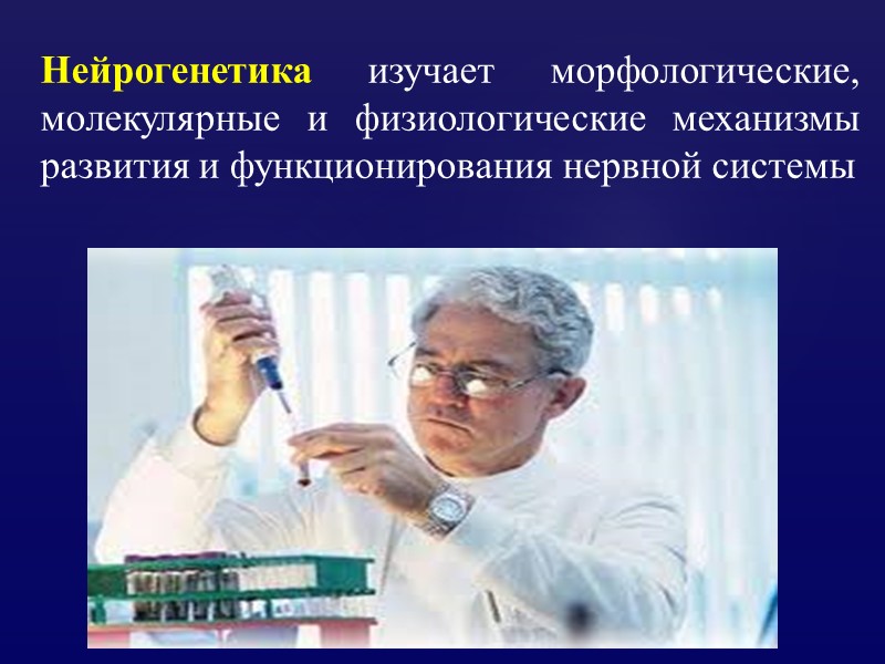 Нейрогенетика изучает морфологические, молекулярные и физиологические механизмы развития и функционирования нервной системы